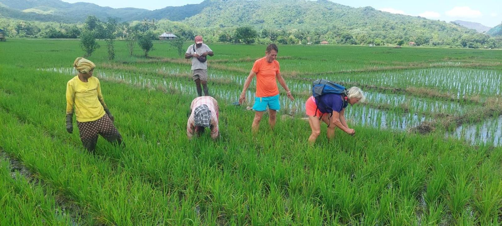 Homestay Inang Amang